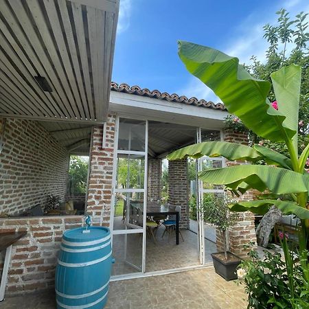 Casa Mediterana Două Mai Extérieur photo