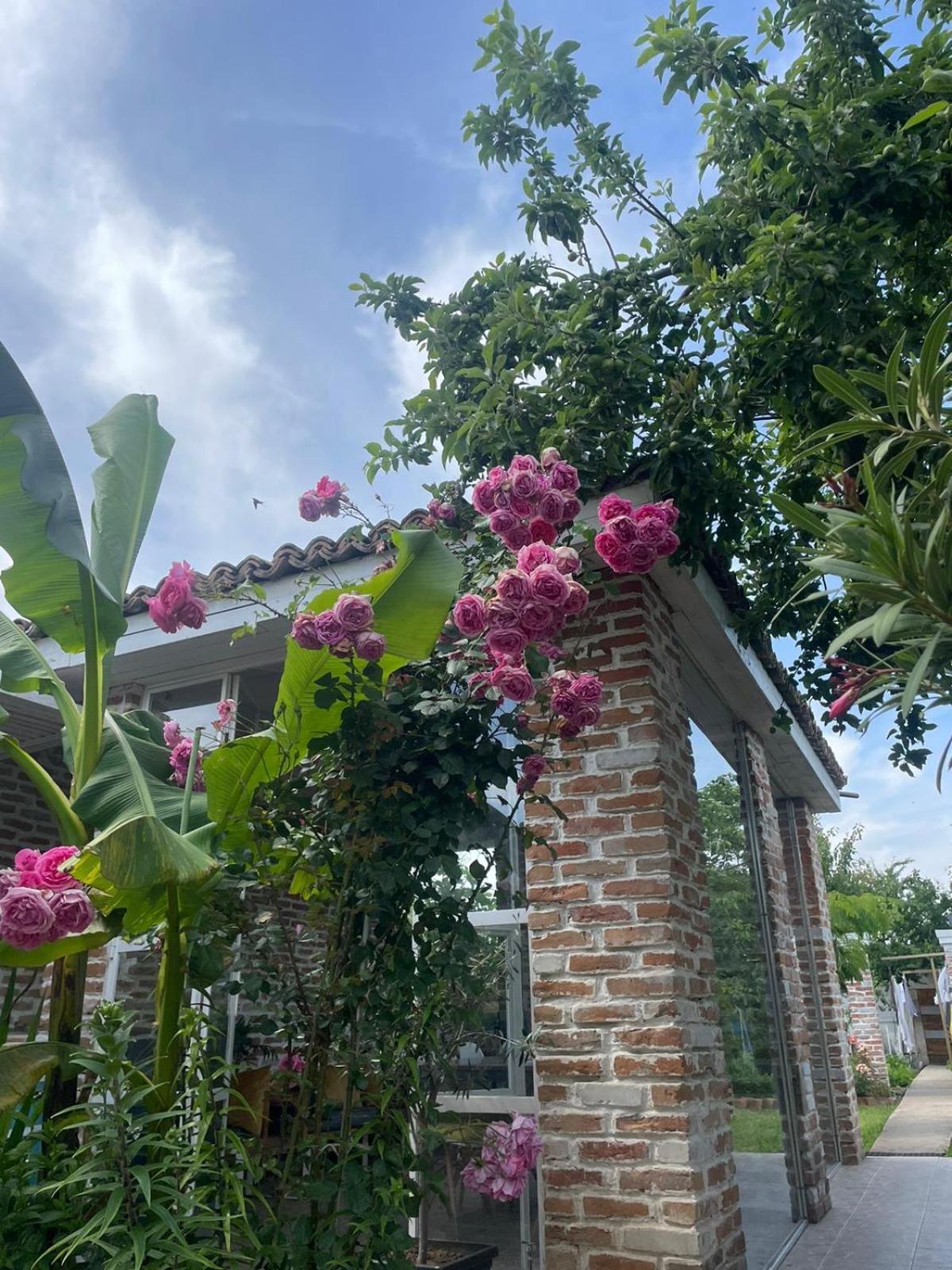 Casa Mediterana Două Mai Extérieur photo